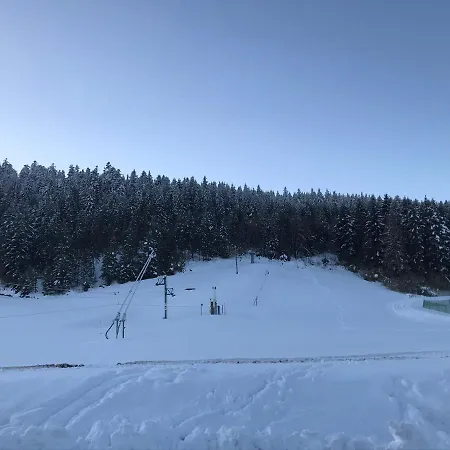 Appartement 6 Pers - Les 4 Loups Au Pied Des Pistes Gérardmer Buitenkant foto