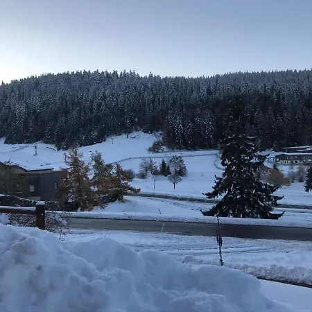 Appartement 6 Pers - Les 4 Loups Au Pied Des Pistes Gérardmer Buitenkant foto