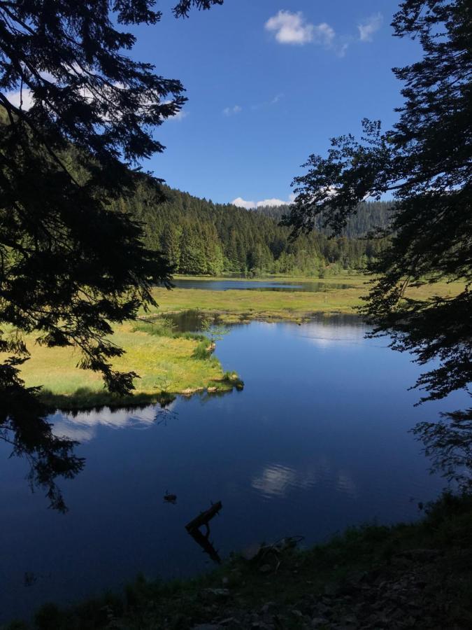 6 Pers - Les 4 Loups Au Pied Des Pistes * Gerardmer