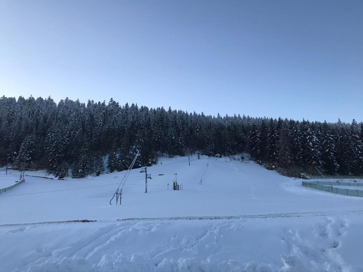 6 Pers - Les 4 Loups Au Pied Des Pistes Apartment Gerardmer