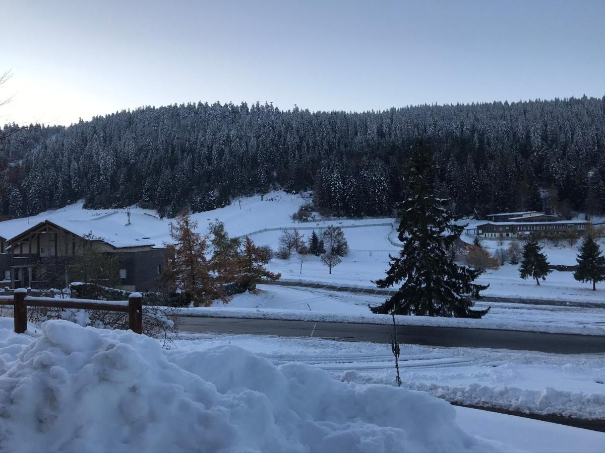 6 Pers - Les 4 Loups Au Pied Des Pistes