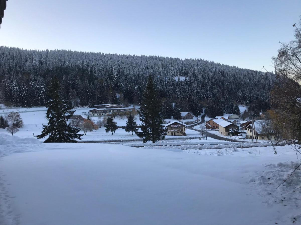 6 Pers - Les 4 Loups Au Pied Des Pistes Apartment Gerardmer