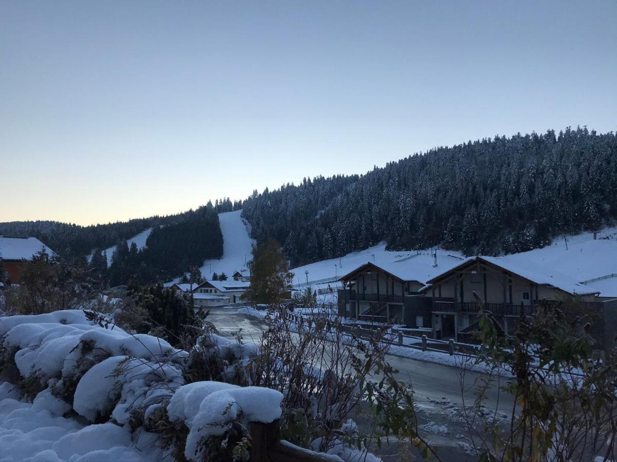 6 Pers - Les 4 Loups Au Pied Des Pistes Apartment Gerardmer
